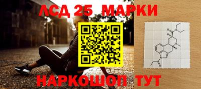 шишки Новокубанск