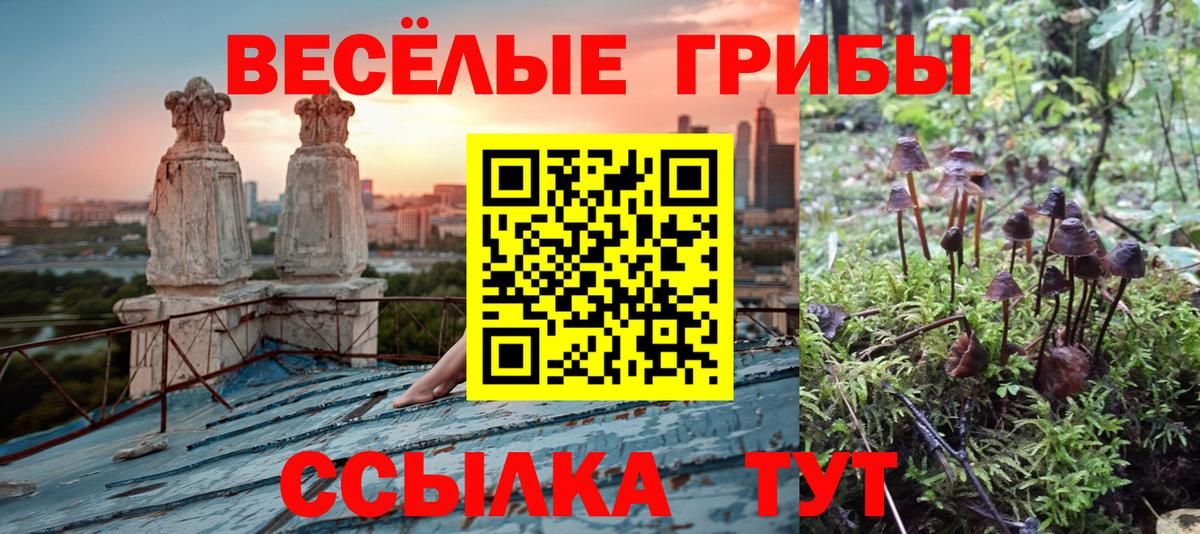 Галлюциногенные грибы Psilocybe  Вход с VPN  Галлюциногенные грибы Magic Shrooms  Сегежа 
