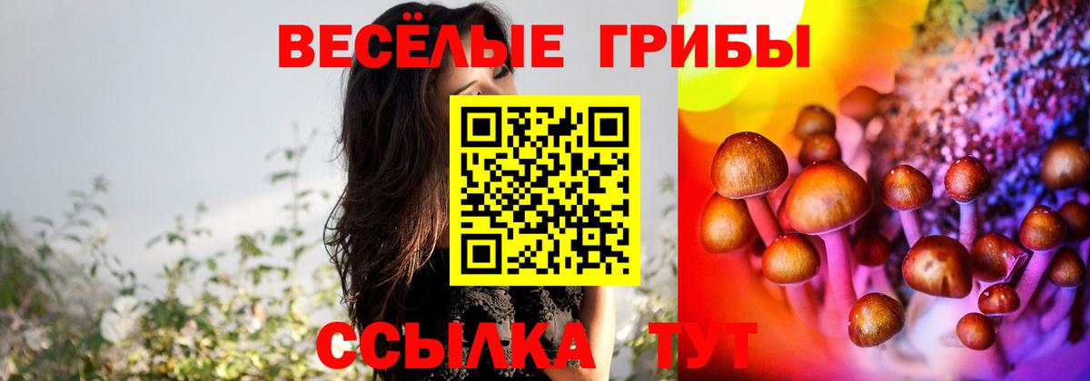 Псилоцибиновые грибы мухоморы Сегежа
